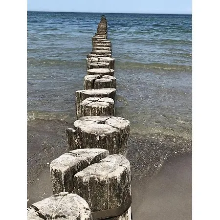 Windfluechter Apartamento