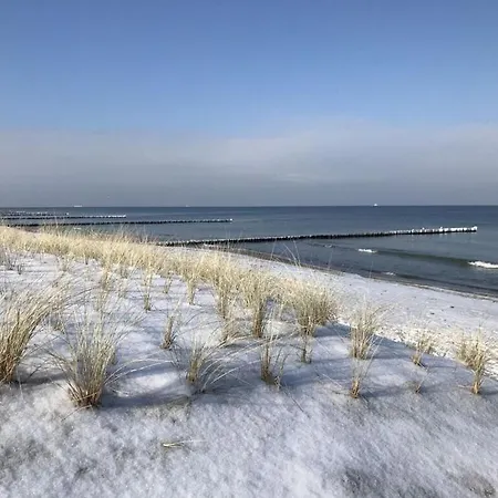 Windfluechter Graal-Mueritz