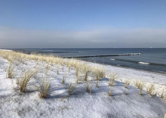Windfluechter Graal-Mueritz